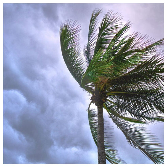 The Winds of Change