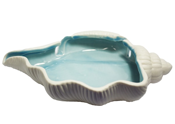 Porcelain Shell Display DIsh