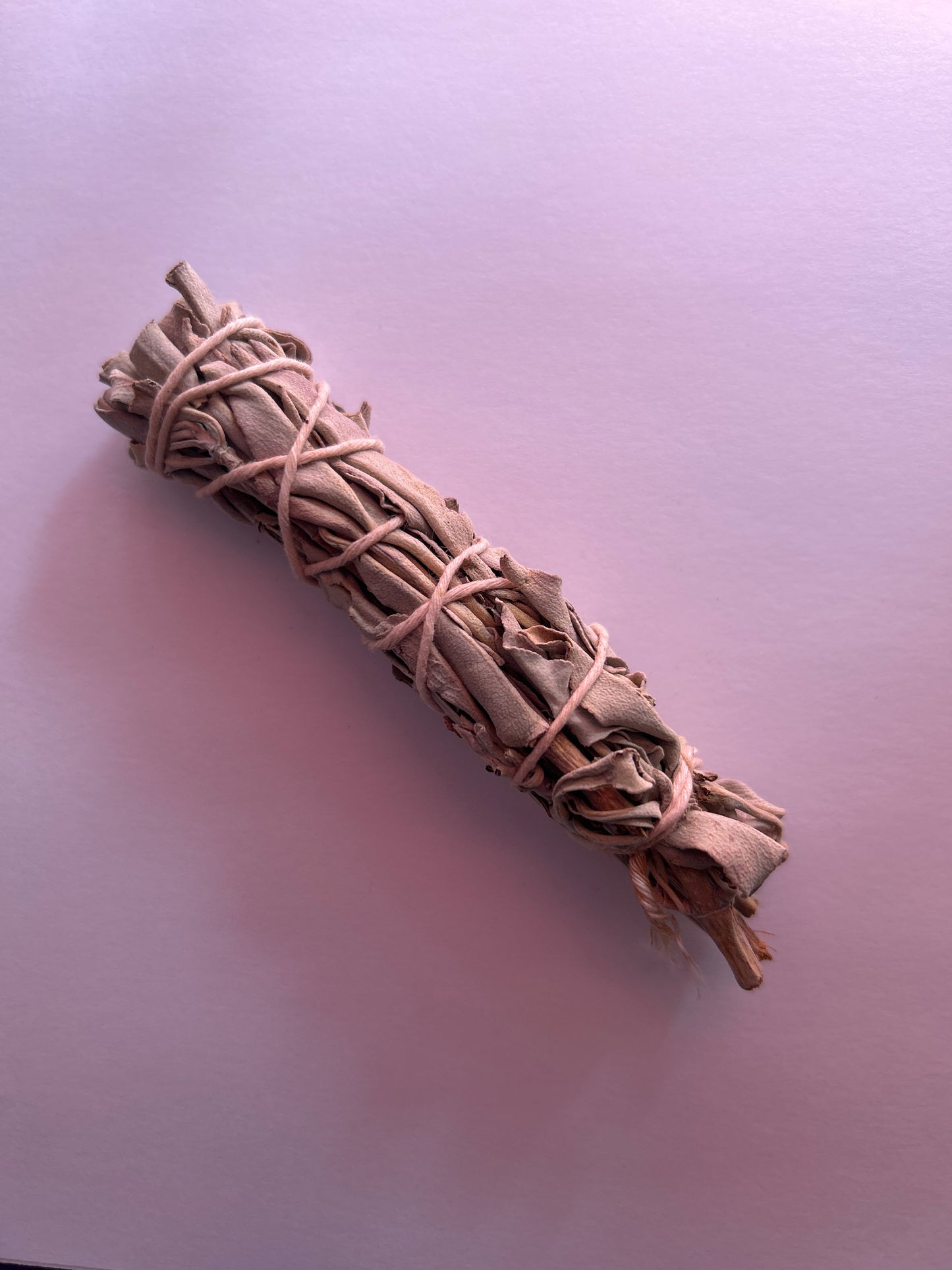 SAG4 Sage Bundle Small