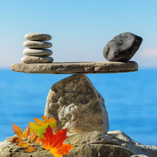 Back to Routine, Back to You: Finding Balance This Fall