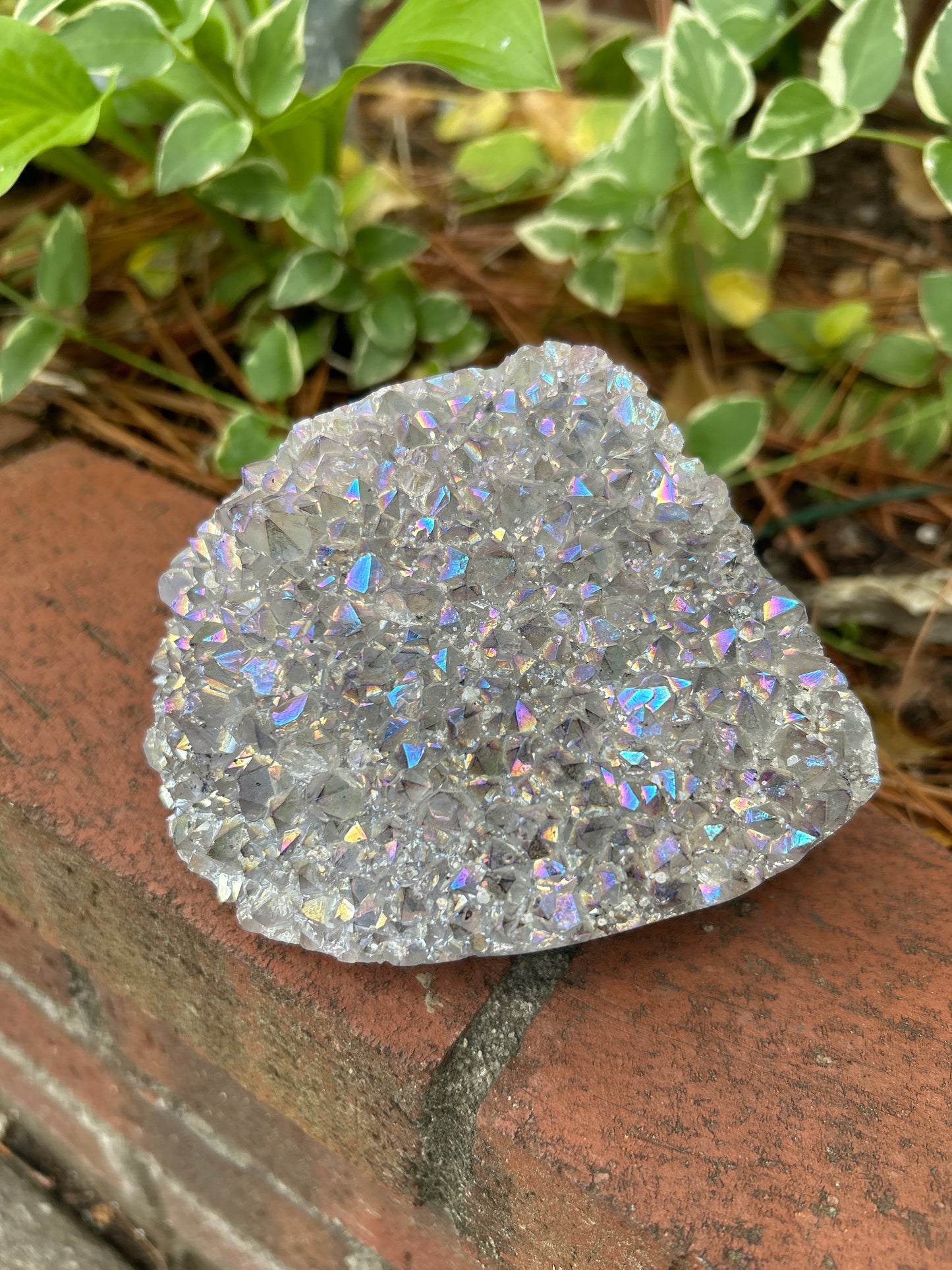 CWAA46A Angel Aura Quartz Cluster